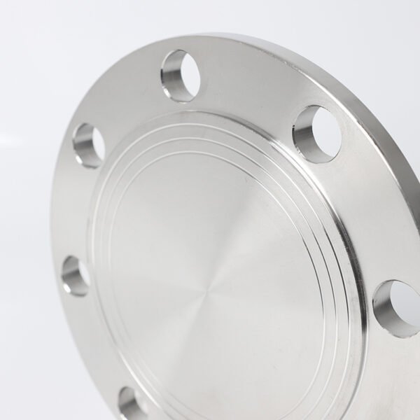 Blind Flange (BL) - Image 4