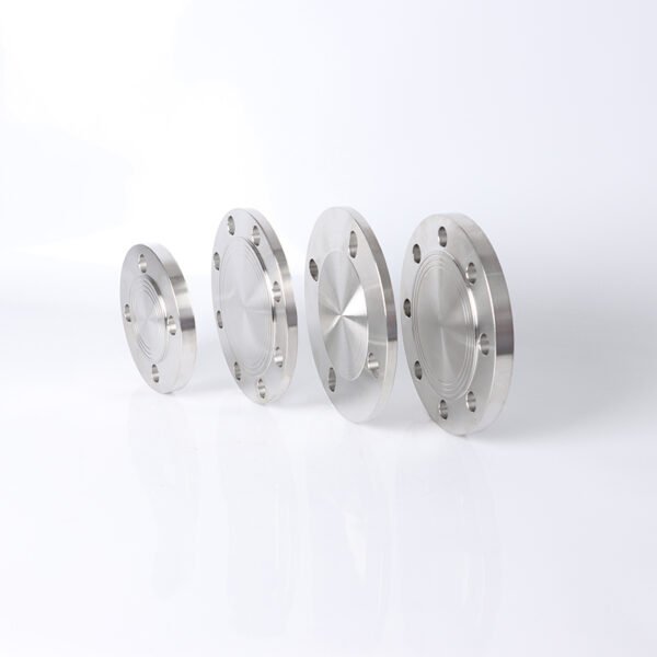 Blind Flange (BL) - Image 2
