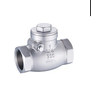 Threaded Horizontal Check Valve