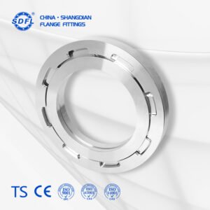 Autoclave Sterilizer Flange
